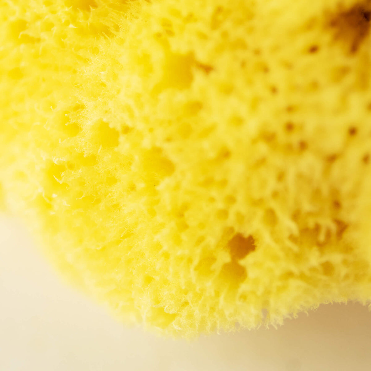 Badesvamp nærbillede af struktur