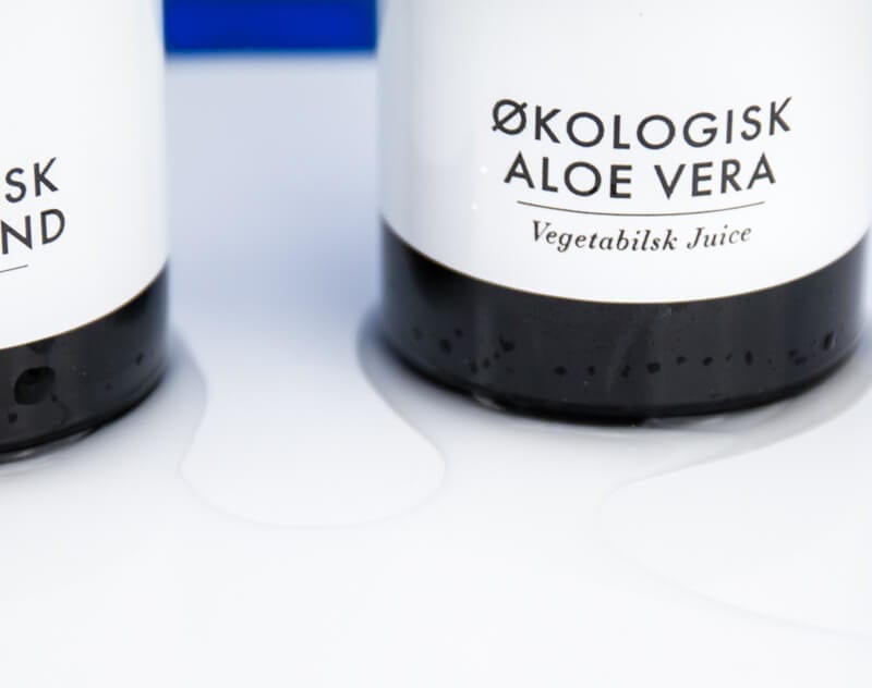 Aloe Vera: 5 måder du kan bruge mirakelplanten