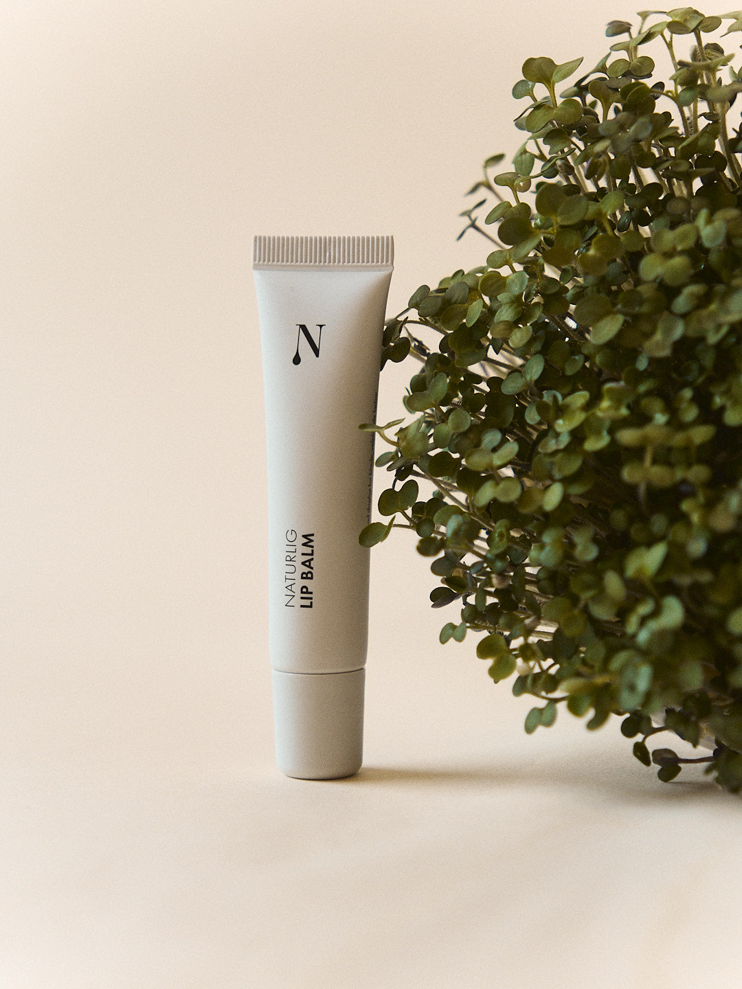Lip Balm