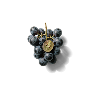 Vindrueekstrakt